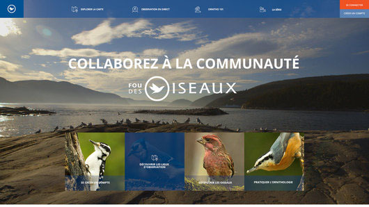 Présentation de la page d'accueil de la plateforme web conçue par iXmédia pour Fou des oiseaux.