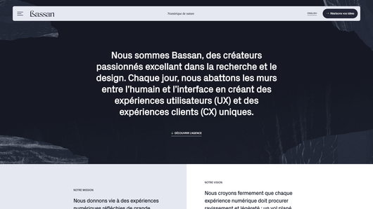 Image de la page d'accueil du site de Bassan réalisé par iX