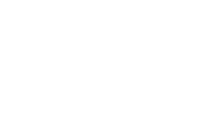 Logo Vieux Québec - Société de développement commercial