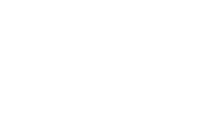 Logo Bassan