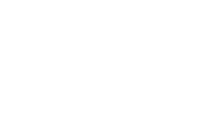 Logo Bassan