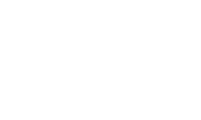 Logo Le Diamant