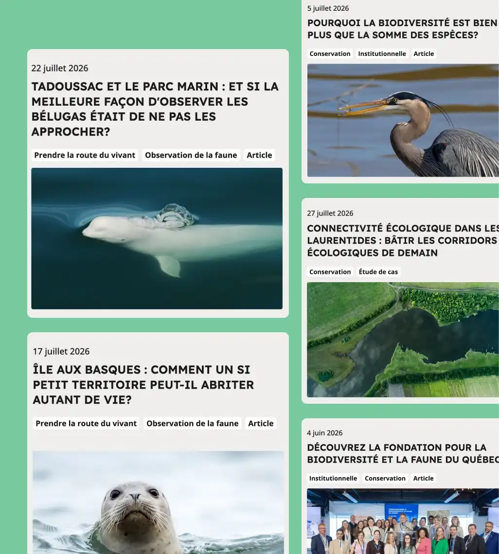 centre de nouvelles sur le site de la FBFQ