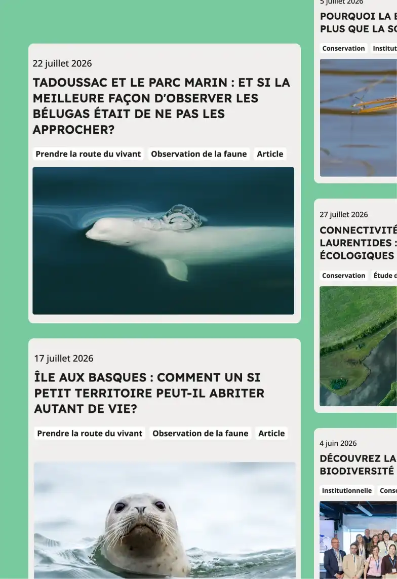 Centre des nouvelles du site de la FBFQ - mobile