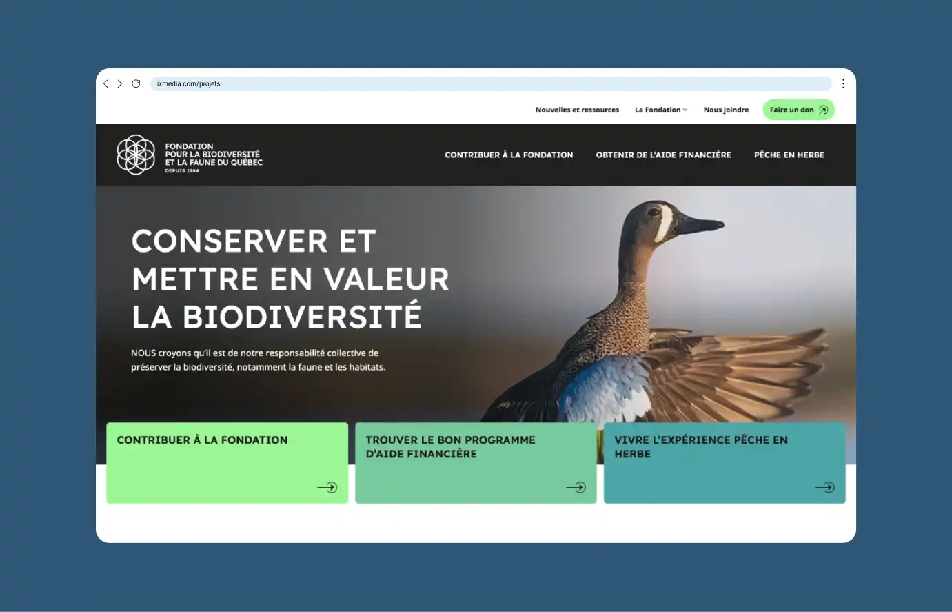 Maquette de la page d'accueil du site de la Fondation de la biodiversité et de la faune